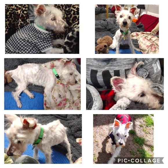 100% clean & professional environment! 😷 - Picture 5 of 5